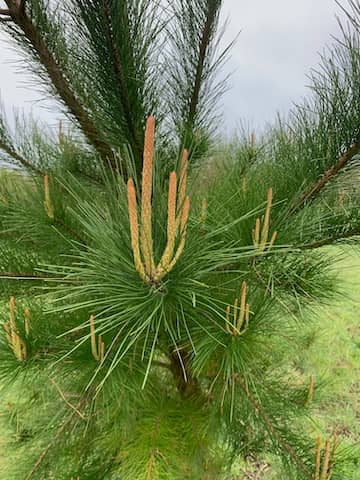 apr work party 2026 1