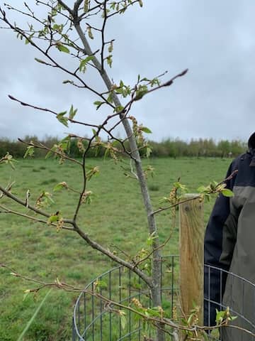 apr work party 2026 2