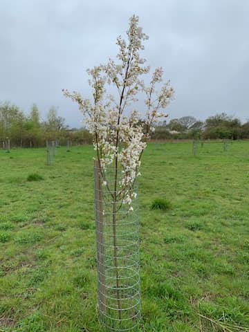 apr work party 2026 3