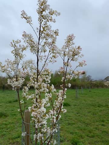 apr work party 2026 4