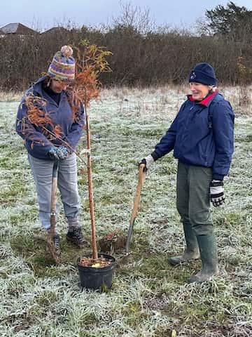 Tree Planting Volunteers 16