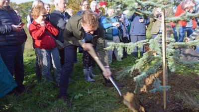 Planting The First Tree
